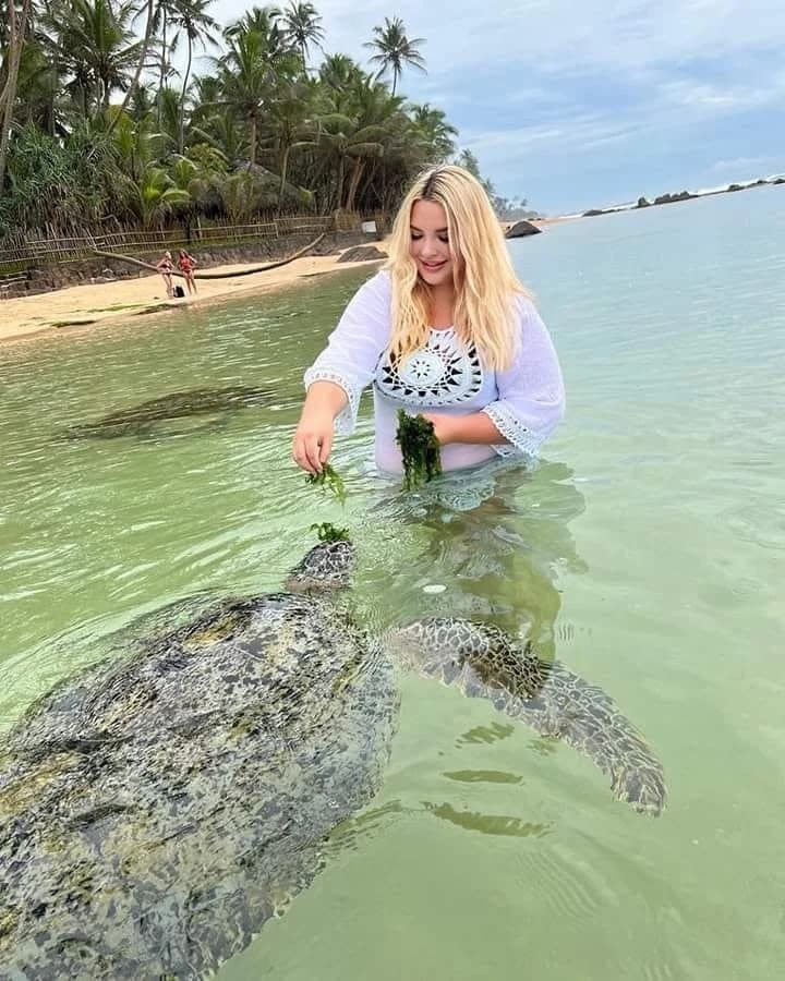 Turtle Beach (Dalawella)