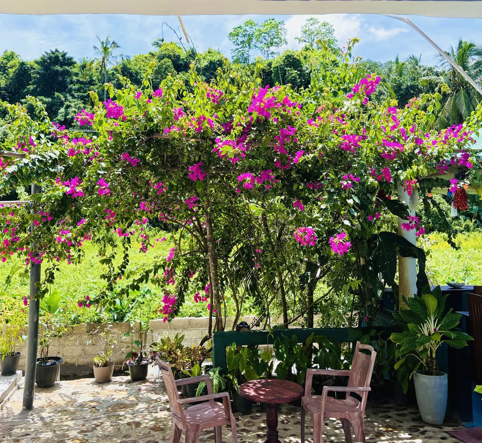 Garden & Balcony Panoramas